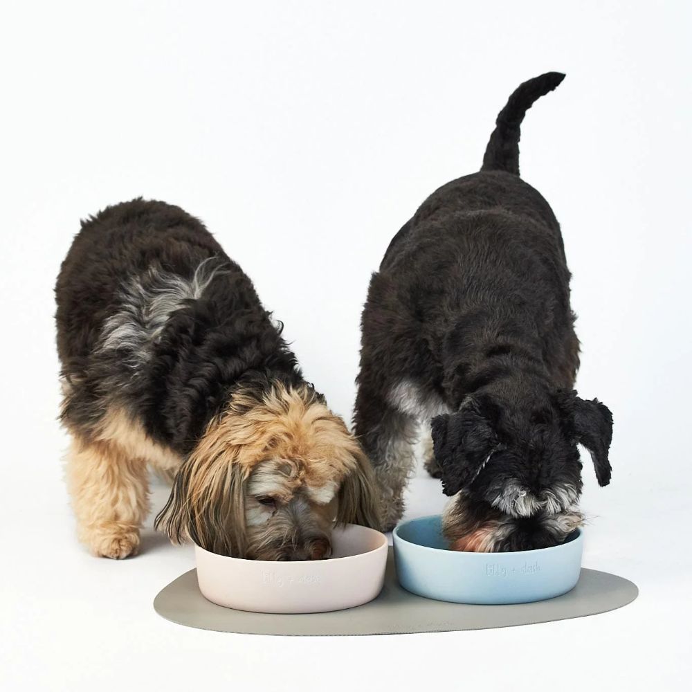 Lilly + Dash Dog Bowl Placemat