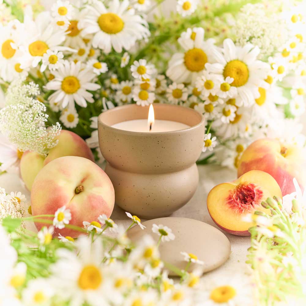 Ecology Alchemy Candle 250g