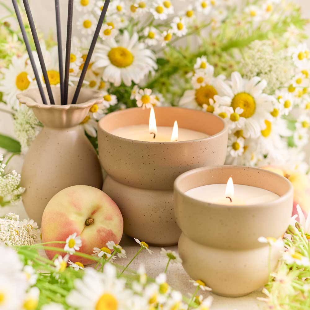 Ecology Alchemy Candle 250g