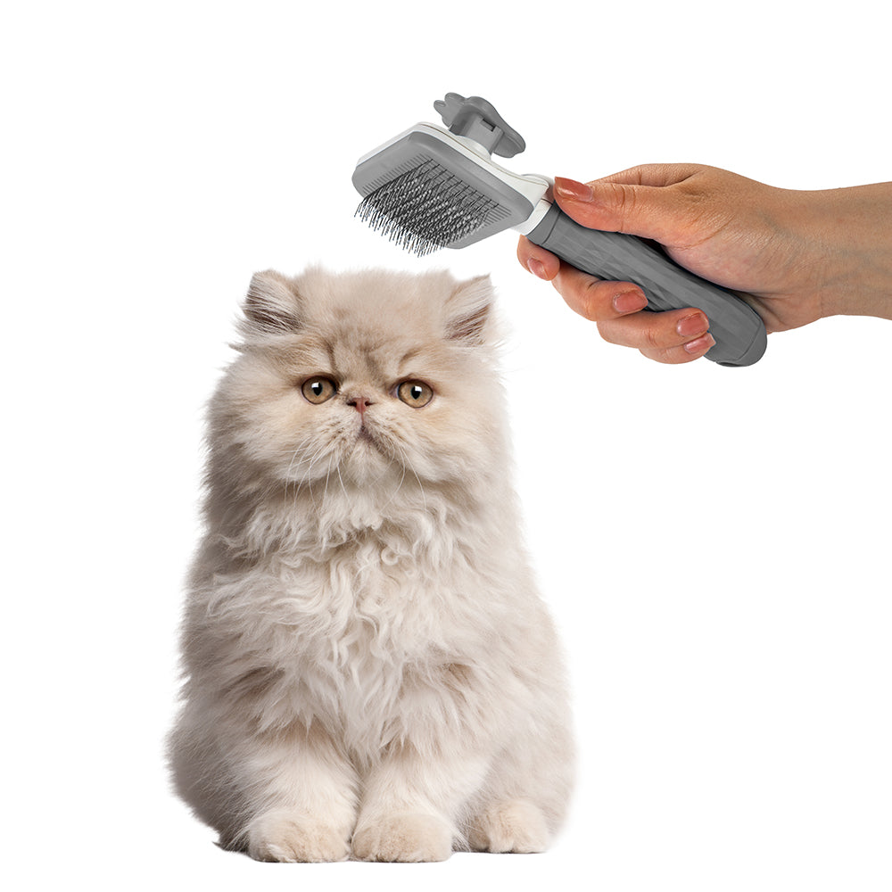 Nice Paws Wire Brush - Designs May Vary