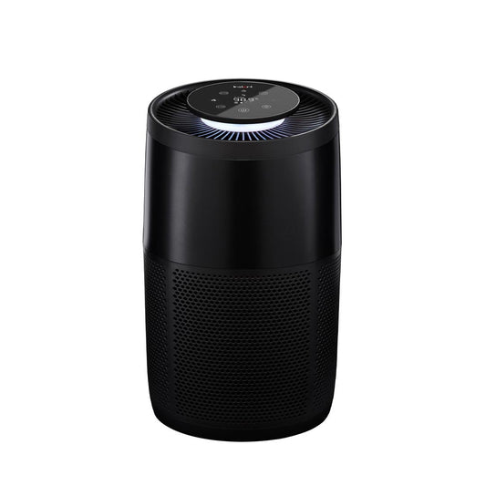 Instant Air Purifier AP200 Charcoal