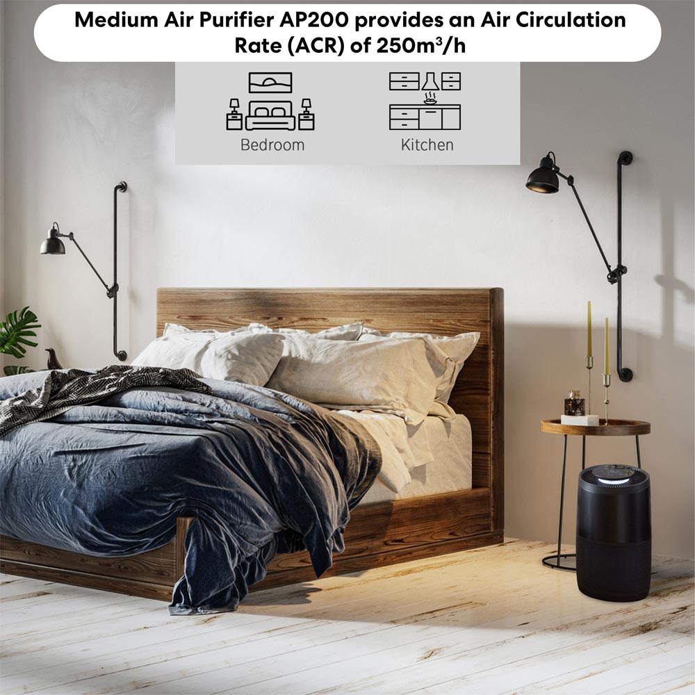 Instant Air Purifier AP200 Charcoal