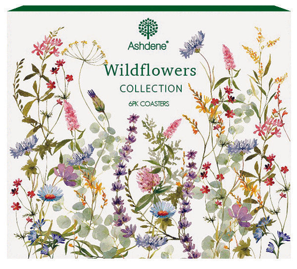 Ashdene Wildflowers Set of 6 Coasters