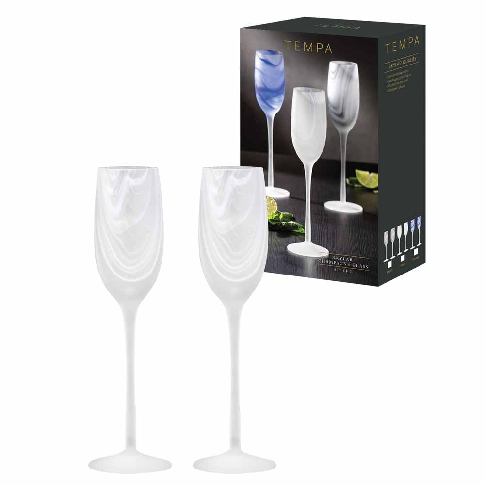 Tempa Skylar Set of 2 Champagne Glasses