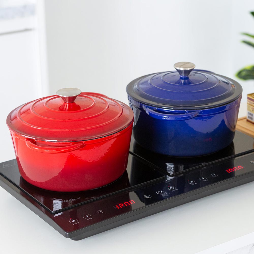 Healthy Choice Double Induction Cooker