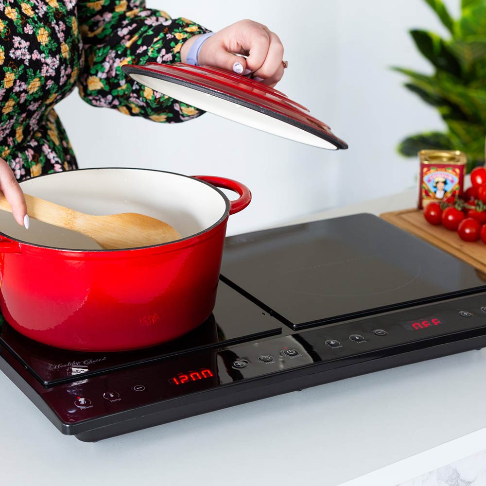 Healthy Choice Double Induction Cooker