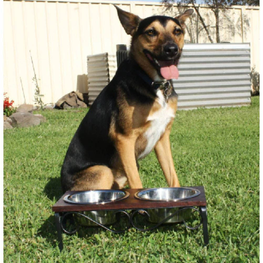 Loving Pets Layton Cherry Top Double Diner Dog Bowl