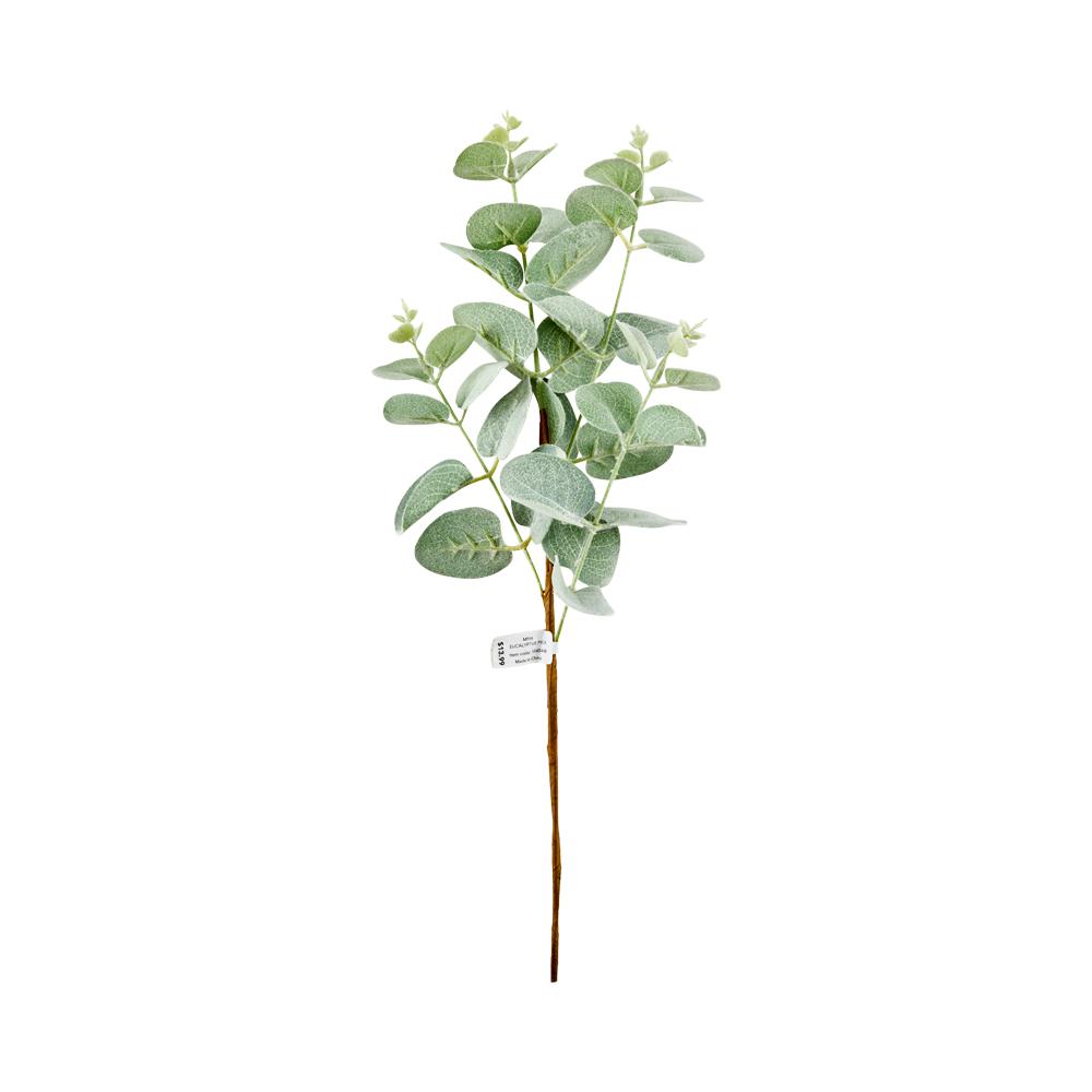 MyHouse Eucalyptus Pick