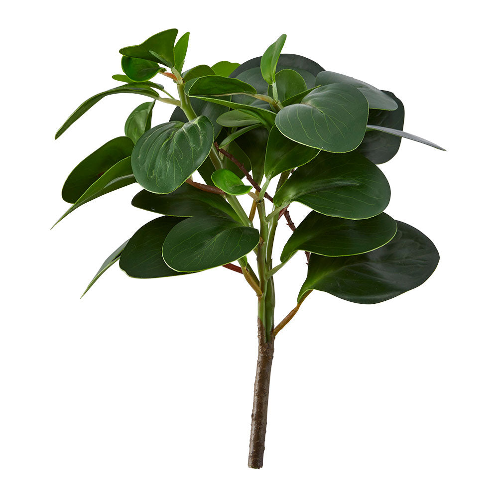 MyHouse Green Foliage Stem 32cm