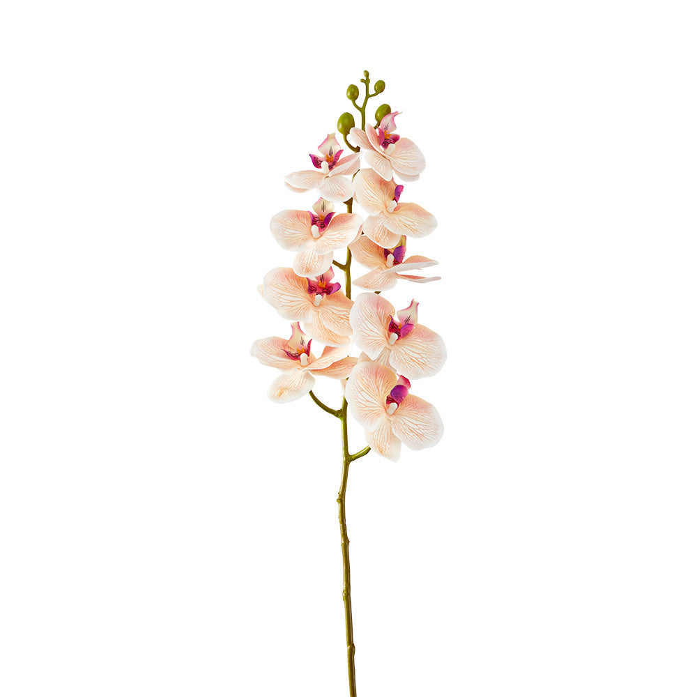 MyHouse Orchid Stem 90cm