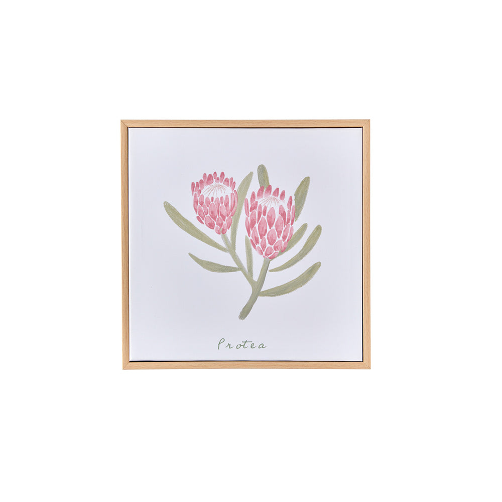 MyHouse Mimi Wall Art Protea