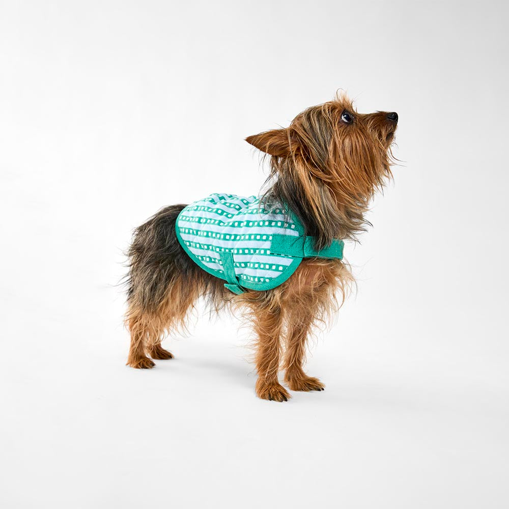 MyHouse Calypso Dog Jacket