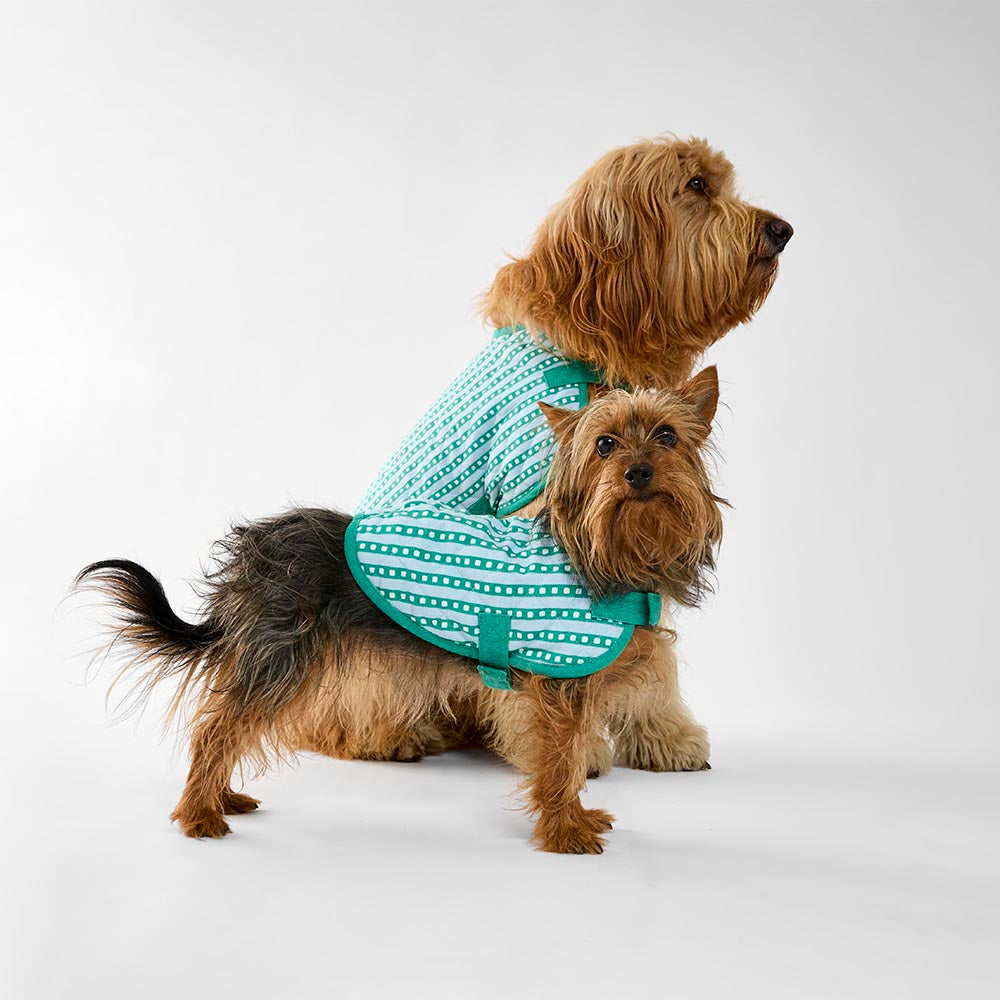 MyHouse Calypso Dog Jacket