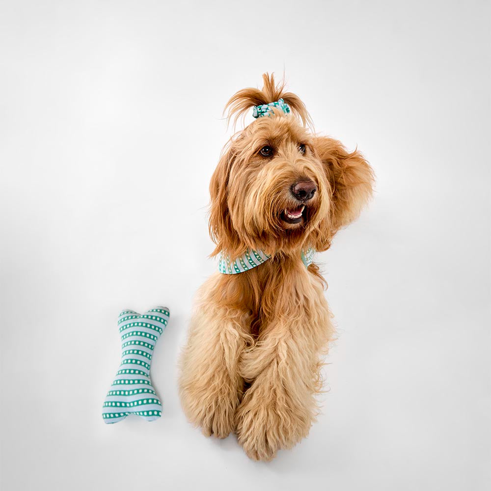 MyHouse Calypso Bone Toy