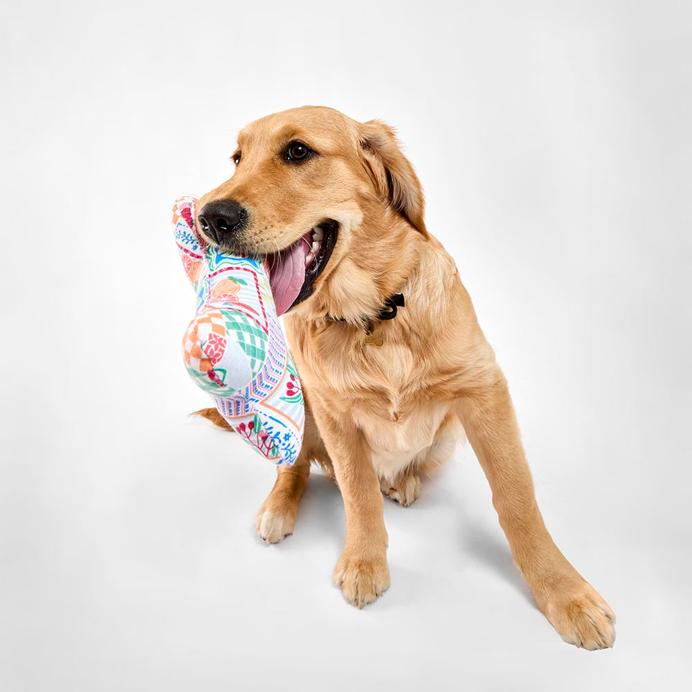 MyHouse Calypso Bone Toy