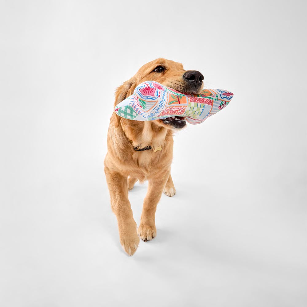 MyHouse Calypso Bone Toy