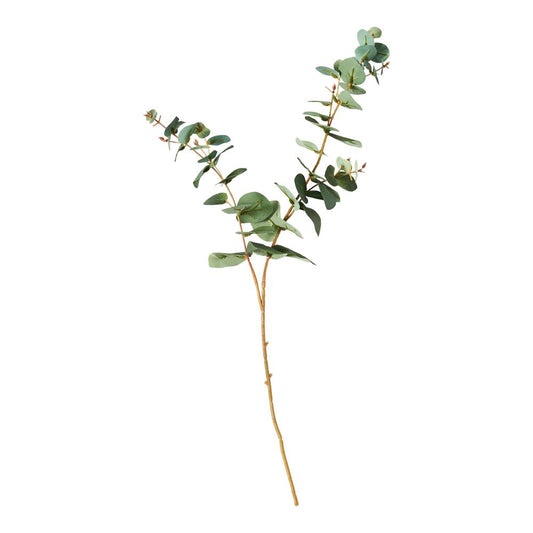 MyHouse Leaf Stem