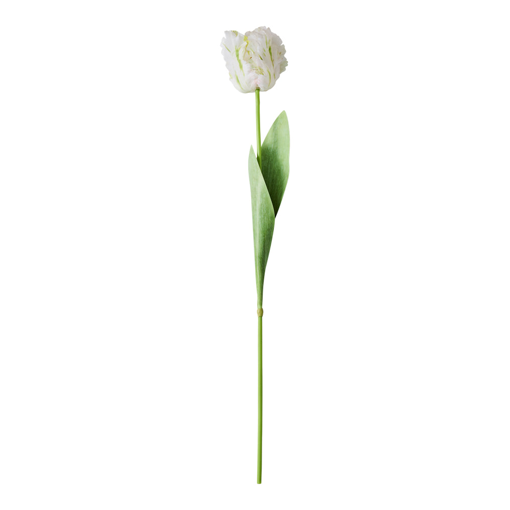 MyHouse Tulip Stem
