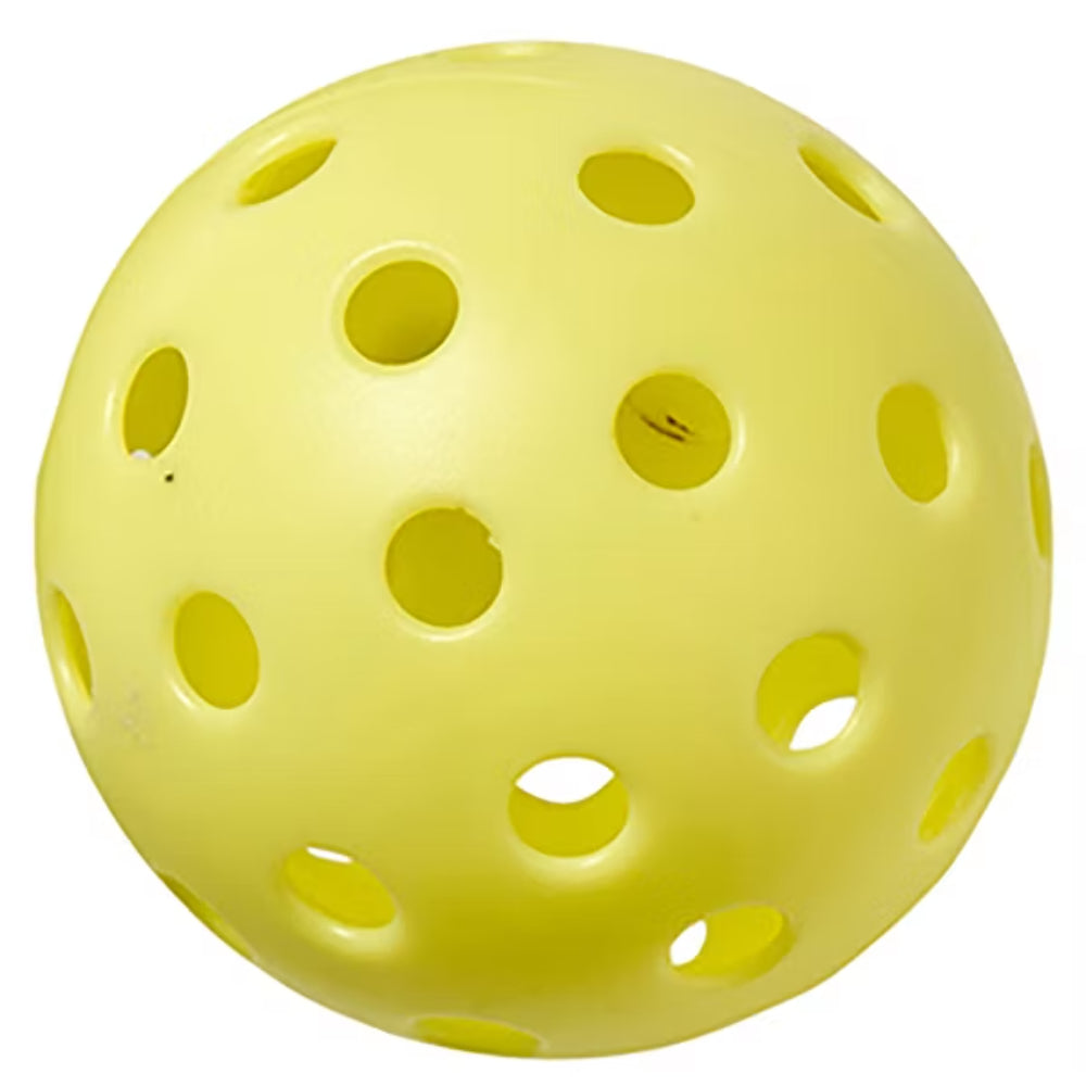 SUNNYLiFE Pickleball Set
