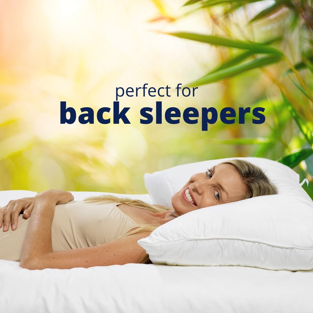 Bamboo Wellness Standard Pillow 2 Pack