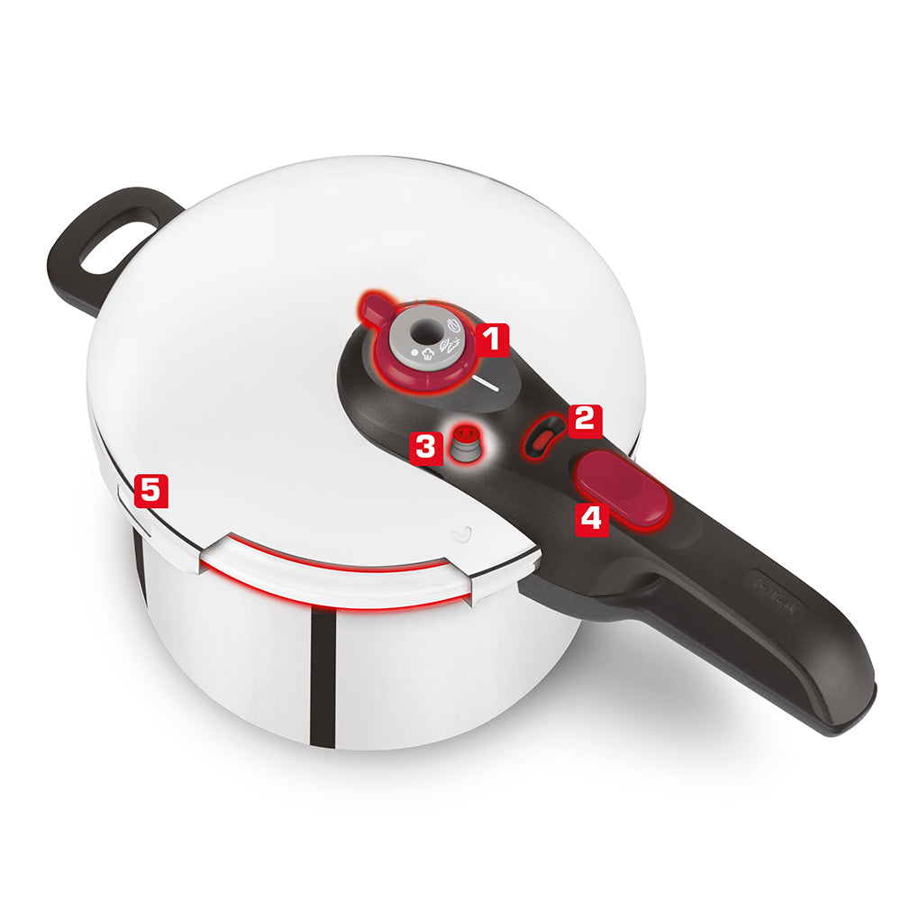 Tefal Fast & Easy Induction Stainless Steel Pressure Cooker