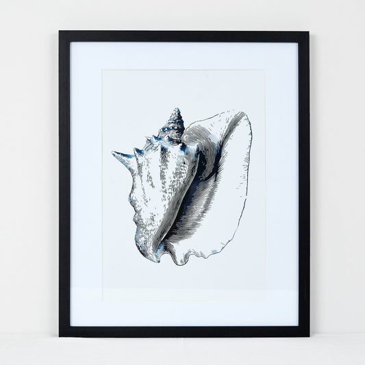 Deborah Hutton Wall Art Conch Shell