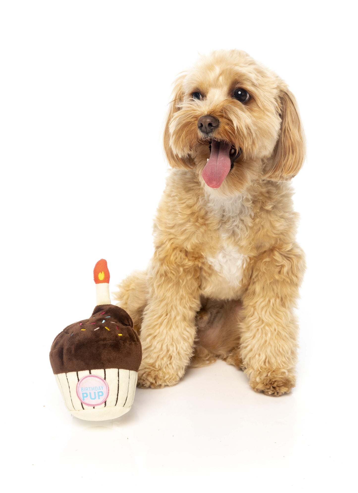 FuzzYard Dog Toy Birthday Cupcake