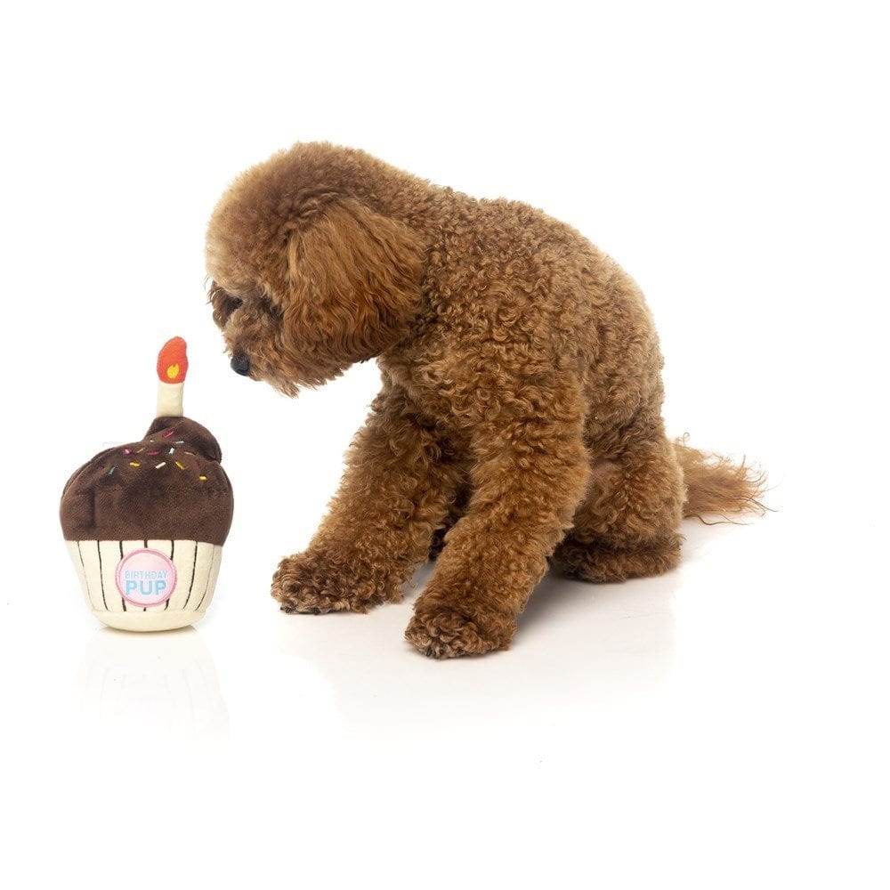 FuzzYard Dog Toy Birthday Cupcake