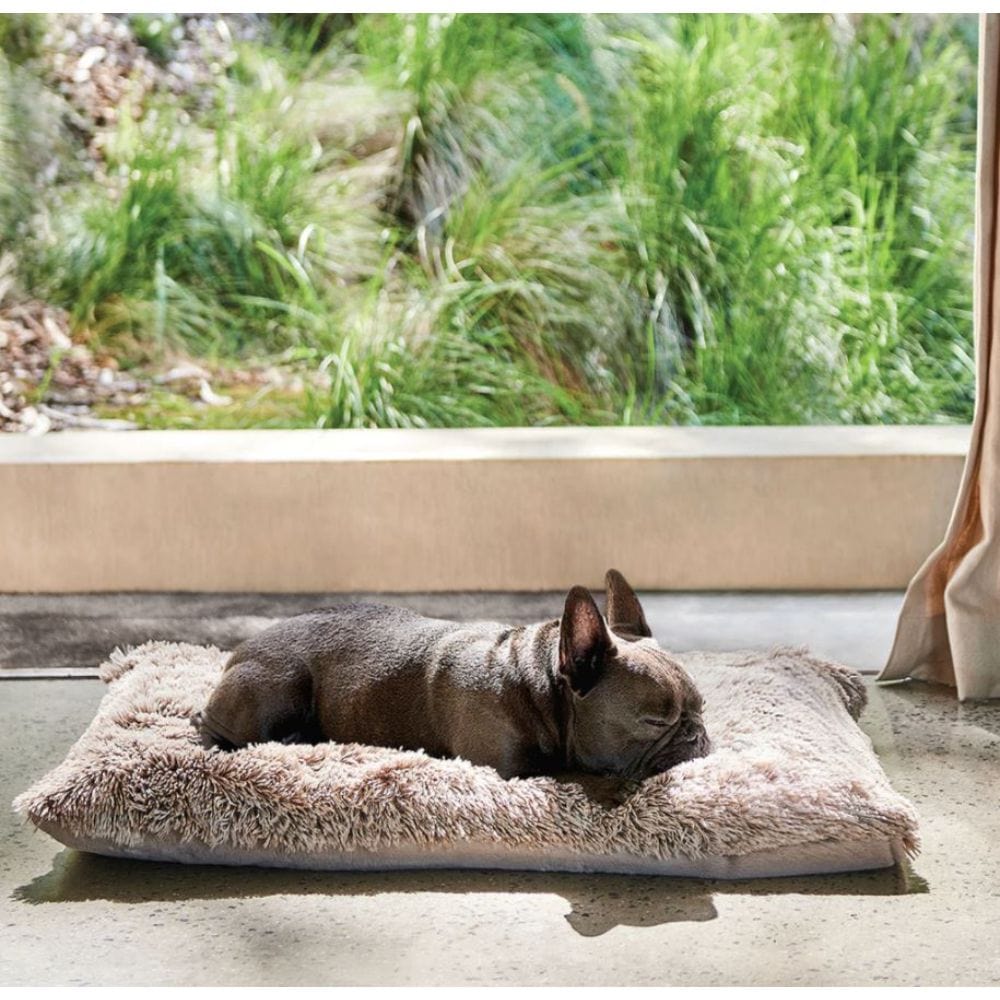 Snooza Mink Calming Futon Dog Bed Mighty